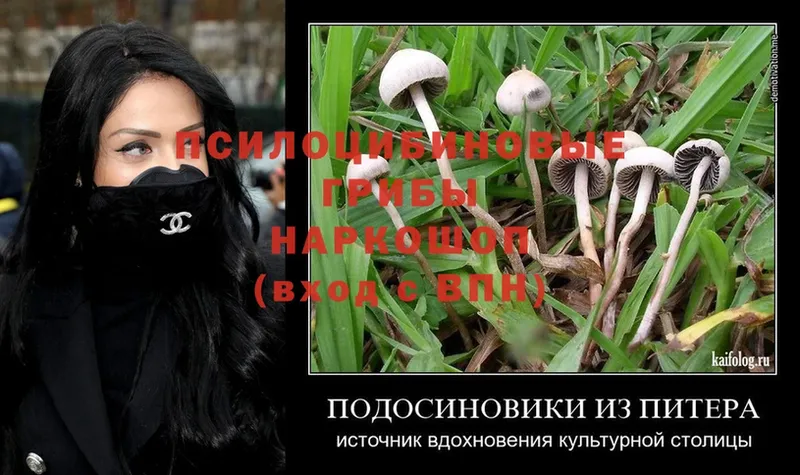 Галлюциногенные грибы Magic Shrooms  гидра ТОР  Алатырь 